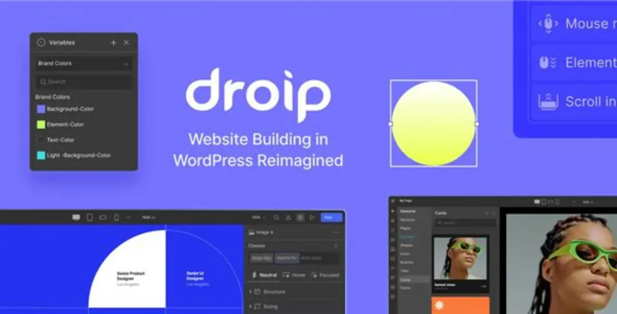 Droip – No-Code WordPress Site Builder Plugins